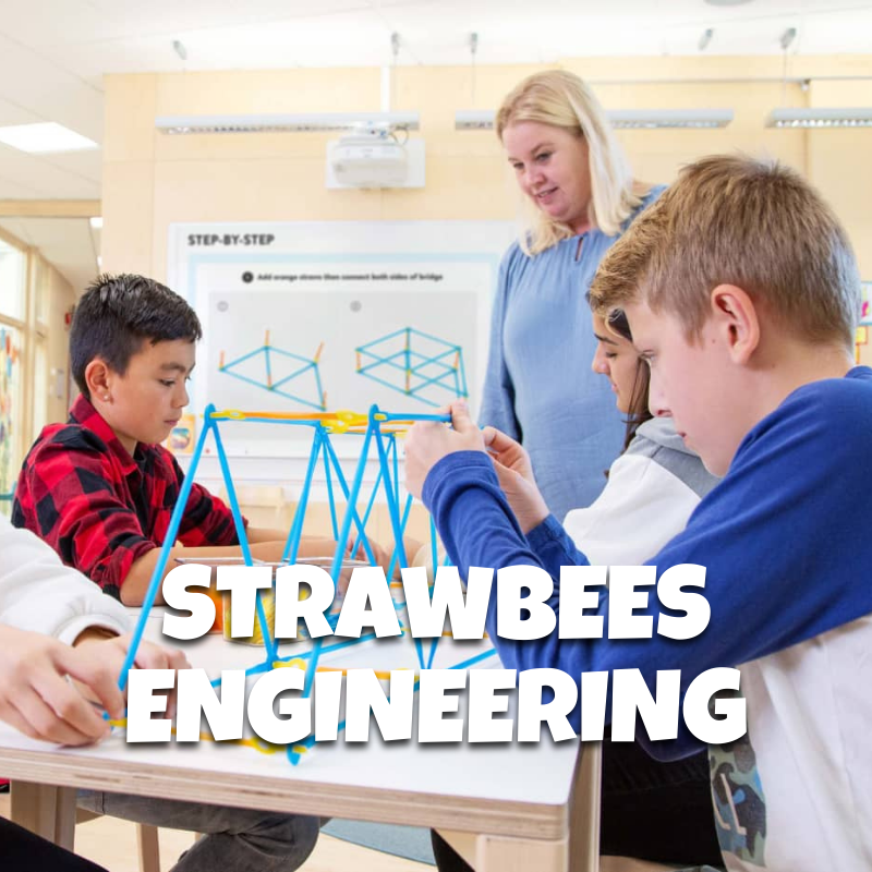 Strawbees Engineering: Innovative Constructs