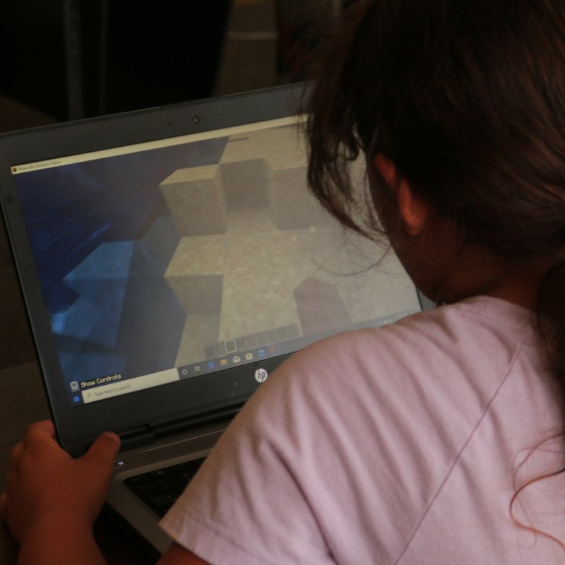 BlockCraft Coders: Platformers & Adventure Games - Brains & Motion