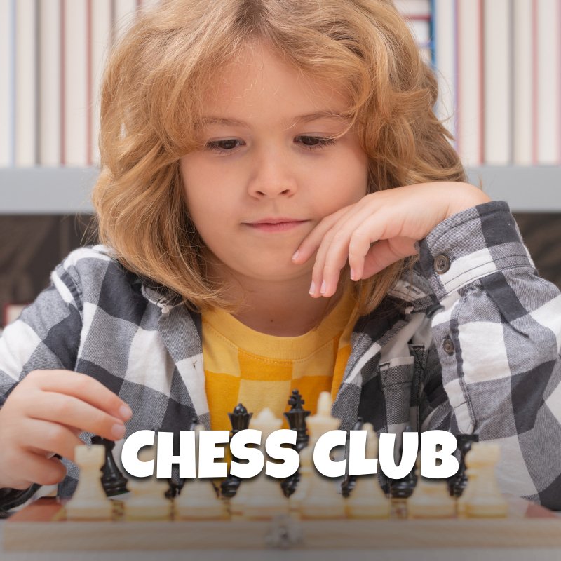 Chess Club: From Basics to Brilliance - Brains & Motion