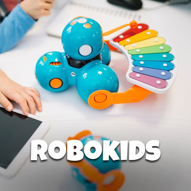 RoboKids: Robotic Adventures with Dash - Brains & Motion