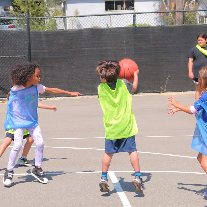 Sports Adventures: Basketball - Brains & Motion