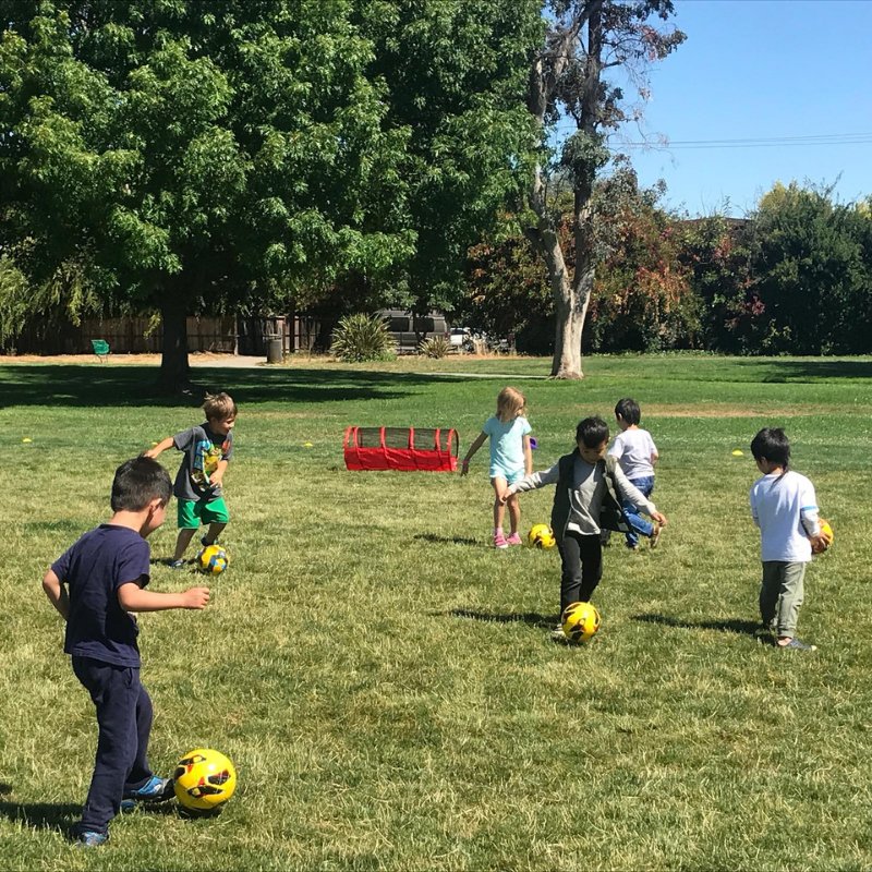 Sports Adventures: Soccer - Brains & Motion