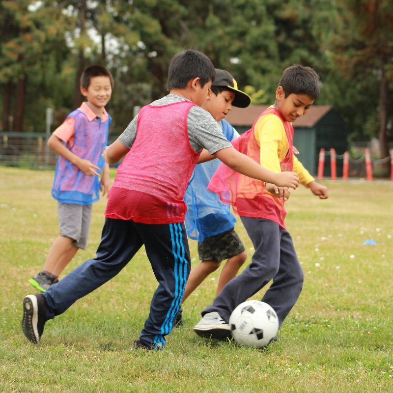 Sports Adventures: Soccer - Brains & Motion