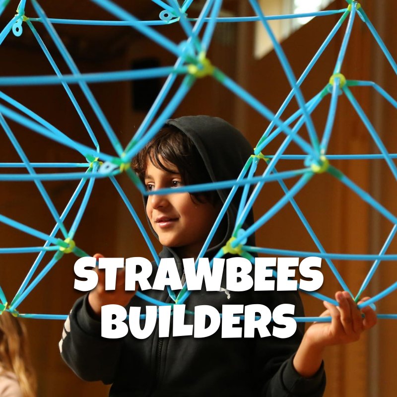 Strawbees Builders: Hands - on Invention - Brains & Motion