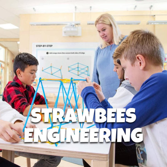 Strawbees Engineering: Innovative Constructs - Brains & Motion